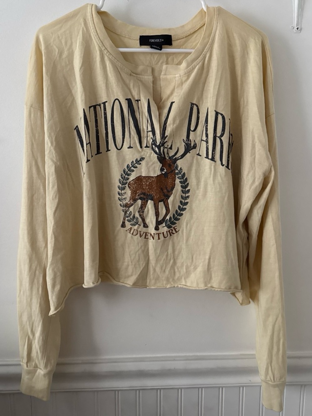 Forever 21 Cream National Park Graphic Crewneck Top
